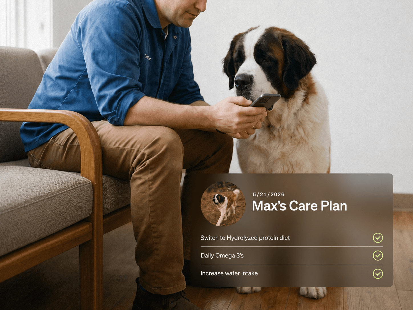 A dog parent reviews Max’s care plan on his phone beside a St. Bernard — switch to a hydrolyzed protein diet, daily omega-3s, increase water intake.